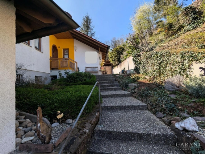 PXL 20241214 151330558