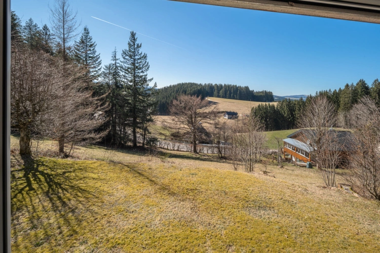 Furtwangen (6)