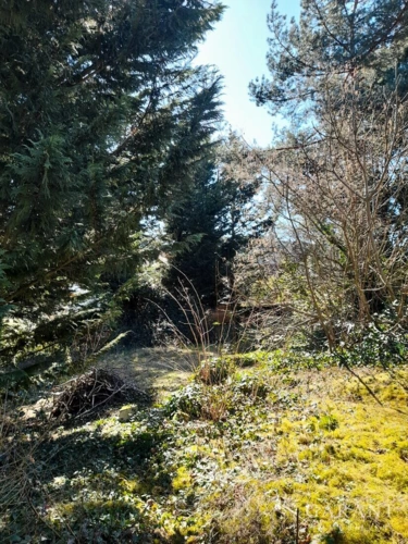 Garten/Bauplatz