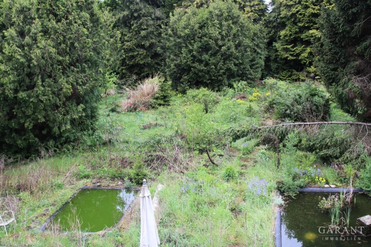 Garten Teilansicht