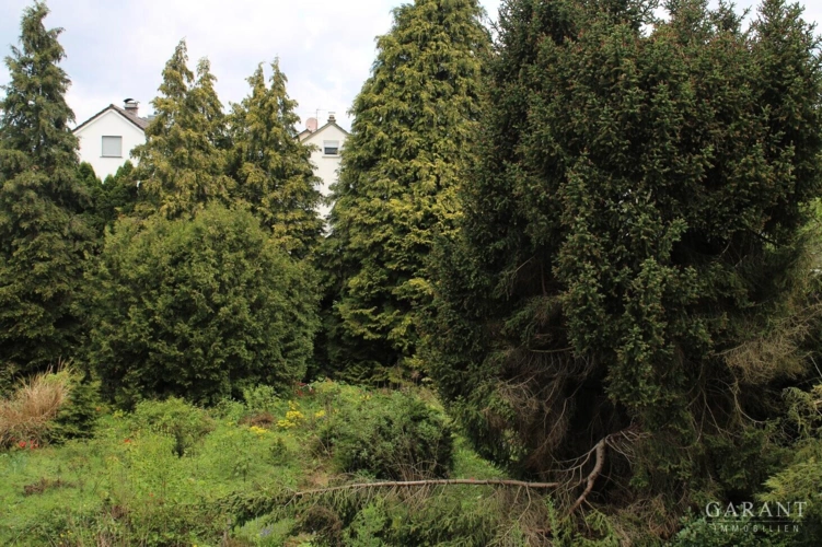 Gartenbereich