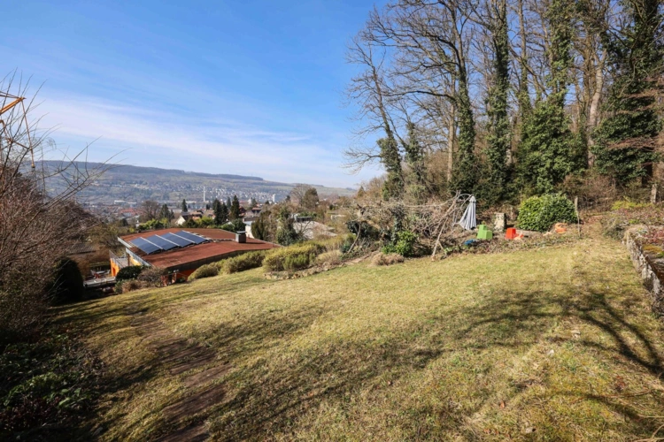 Garten 2