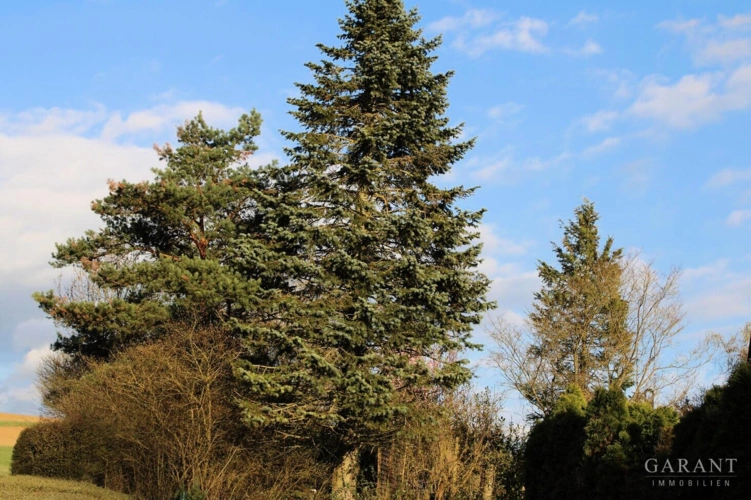 Umgebung