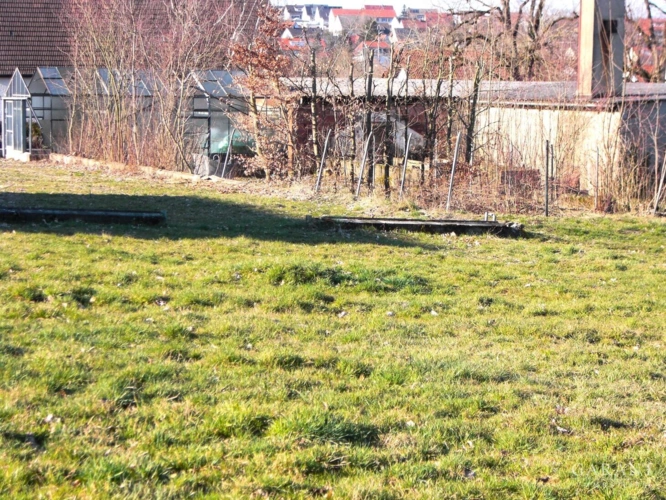 Teil vom Grundstück