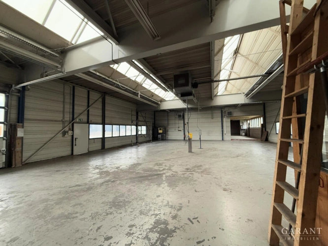 Haupthalle