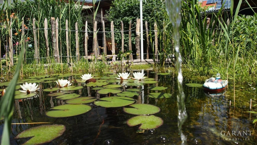 Seerosenteich