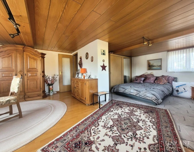 grosses-Zimmer-Dachgeschoss