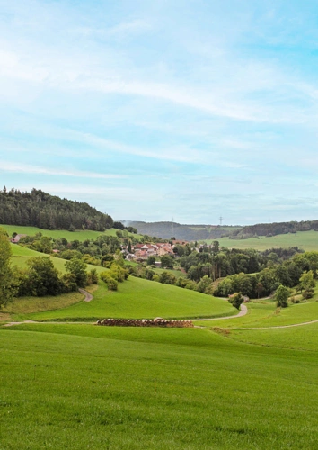 BN_Bilder-Web