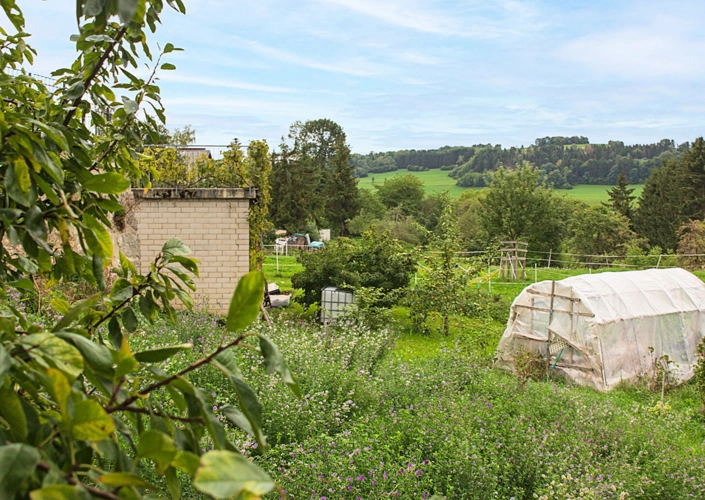 BN_Bilder-Web22
