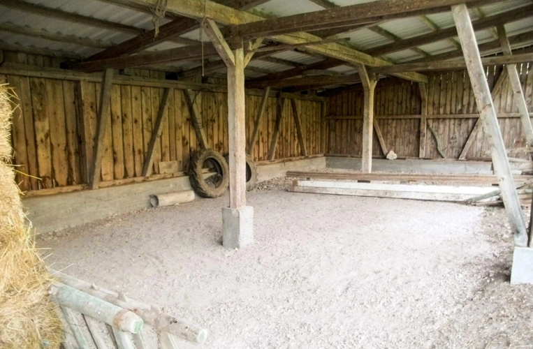 BN_Bilder-Web31