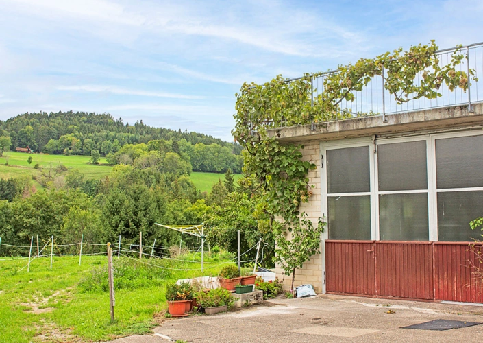 BN_Bilder-Web21