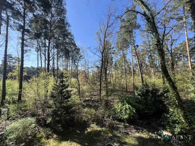 Blick vom Balkon
