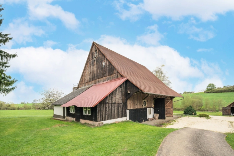 Tuningen (46)