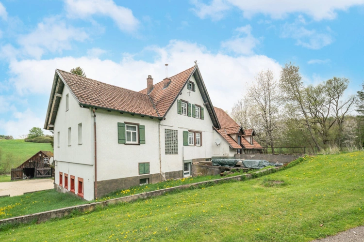 Tuningen (47)