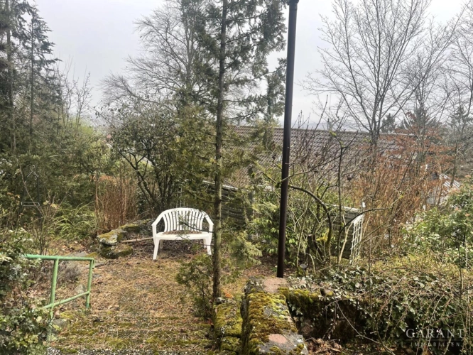 hinterer Gartenbereich
