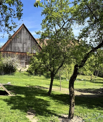 Scheune und Garten