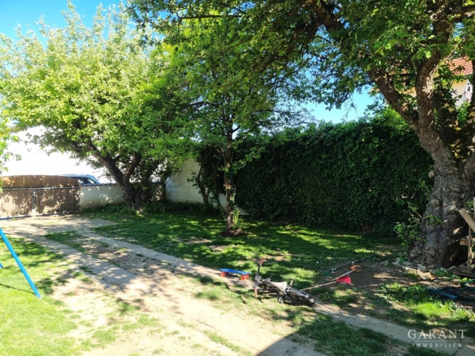 Einfahrt mit Garten