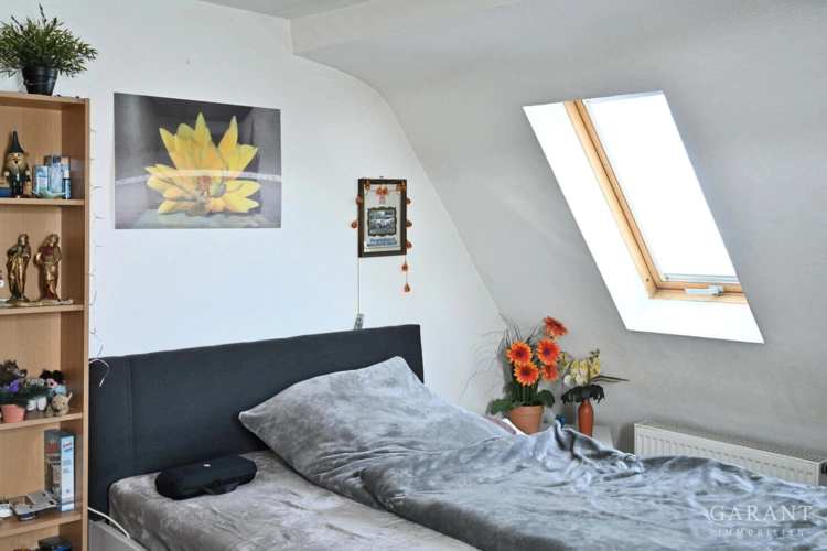 Zimmer DG