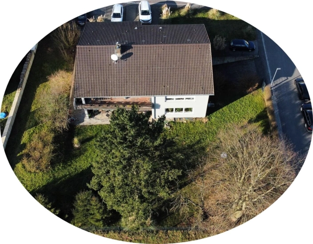 dji fly 20250208 143654 73 1739021820719
