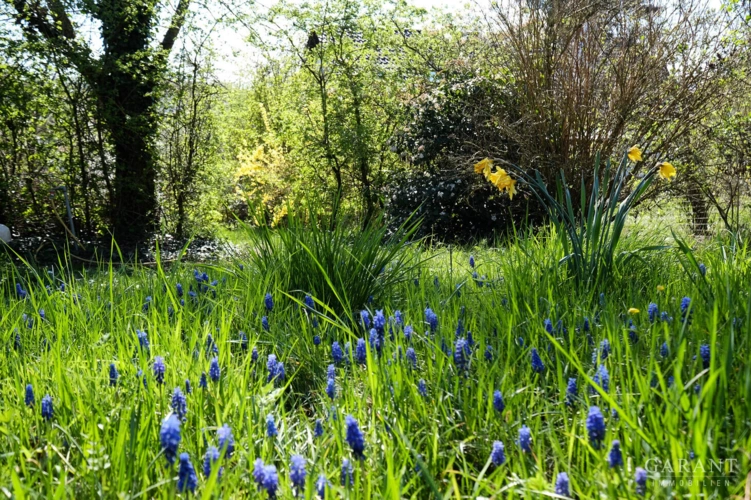 Naturgarten
