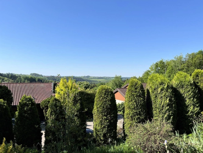 Ausblick Garten