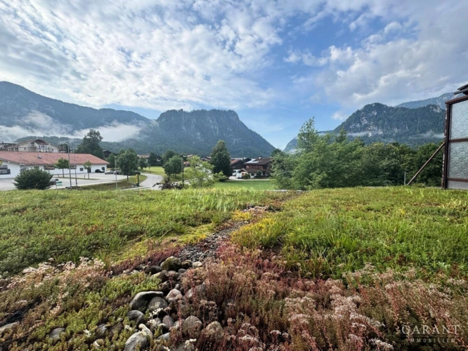 Aussicht2