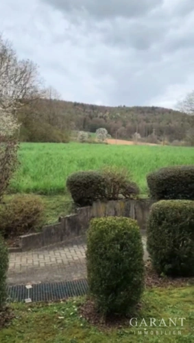 Blick ins Grüne