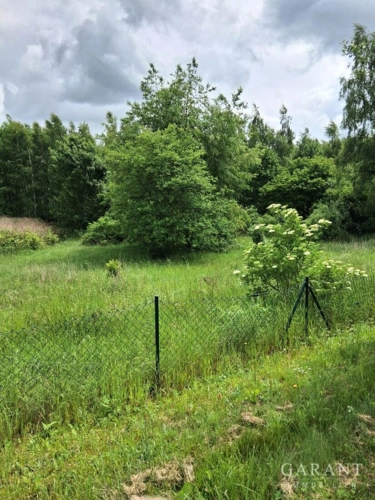 Blick ins Grüne..