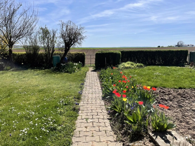 Raus-aufs-Feld