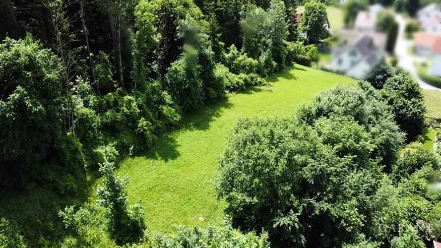 Drohnenansicht3