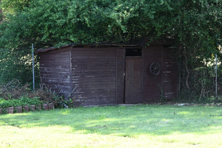 94 DSC 7667