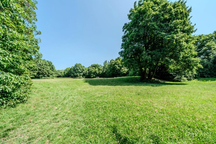 Park vor der Haustür