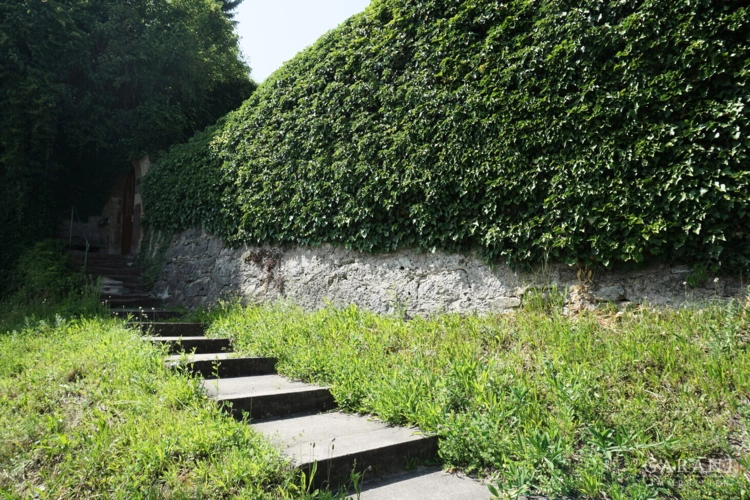 Zugang zum Haus