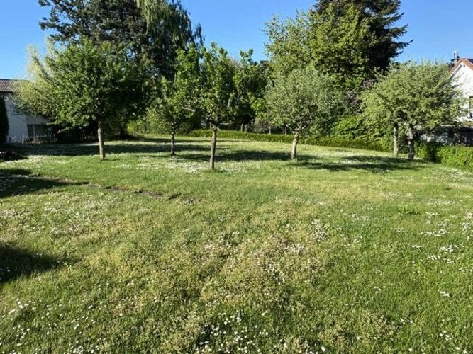 Bild2