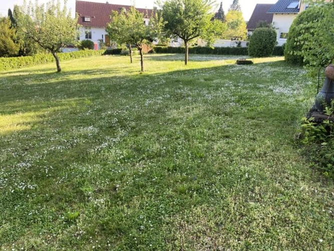 Bild4