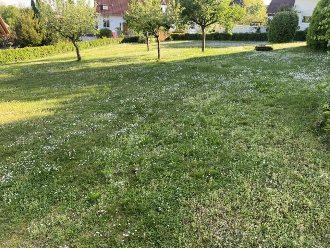 Bild5