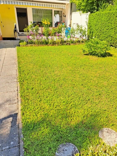 Garten mit Terrasse