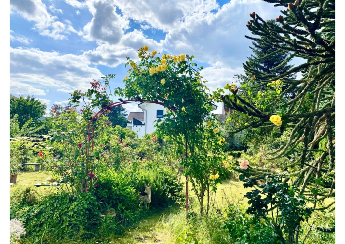 Großer Garten, mit Baumöglichkeit