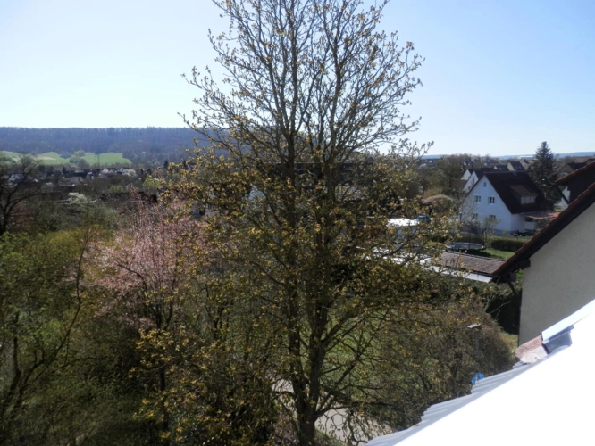 Ausblick-West