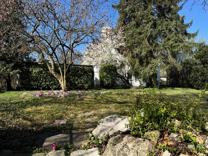 1-Garten
