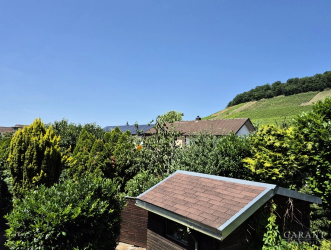 EG Balkonblick 2