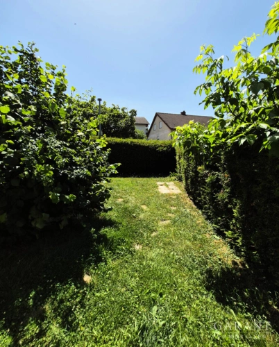 Garten vor dem Haus