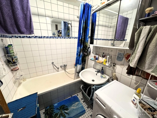 IMG 0007