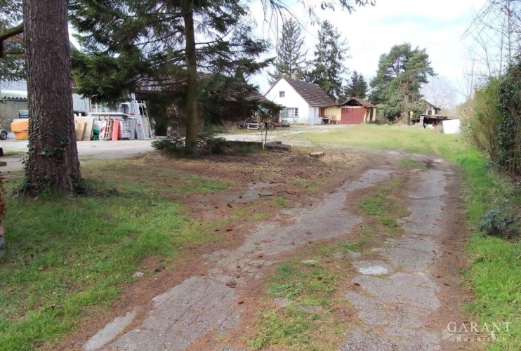 Grundstück Graben-Neudorf Bild 3