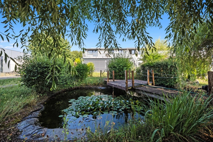 Garten mit Teich