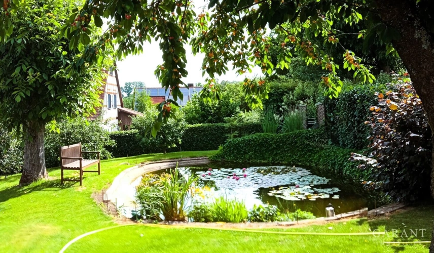 Seerosenteich