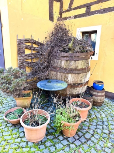 Biergarten