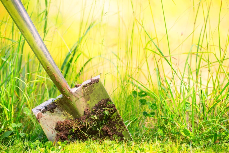 Spaten in Erde - Grüner Garten