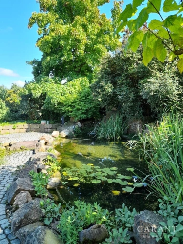 Gartenteich