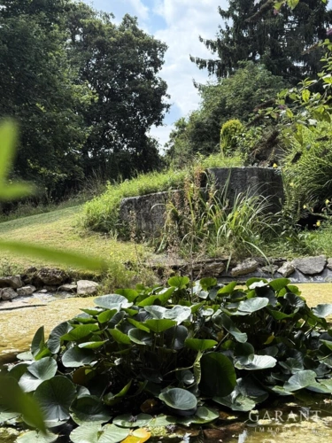 Parkähnliches Anwesen